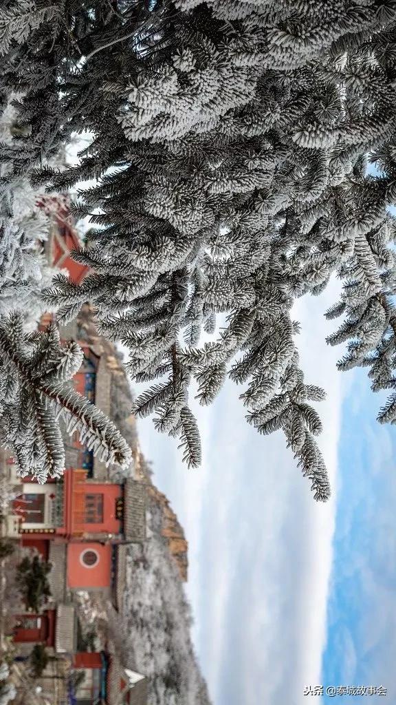 泰山美图100张,泰山云海美图