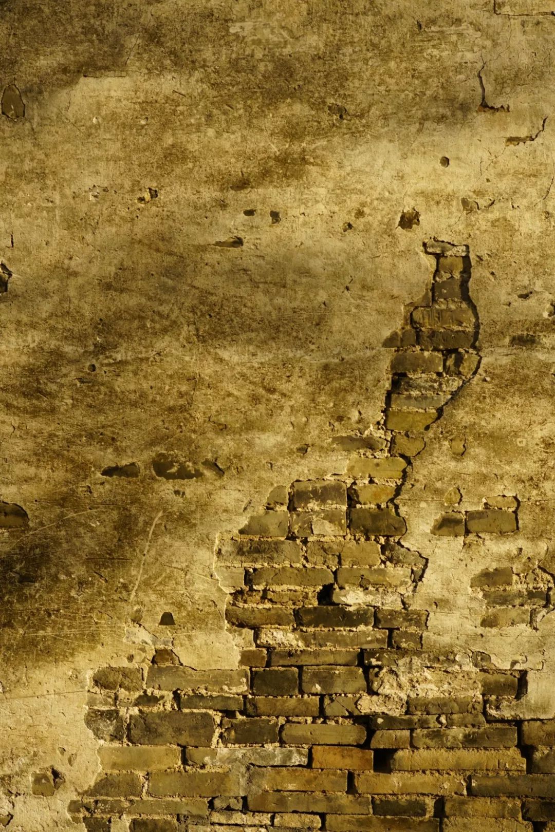 乌镇冬天好看吗,乌镇夏天怎么样