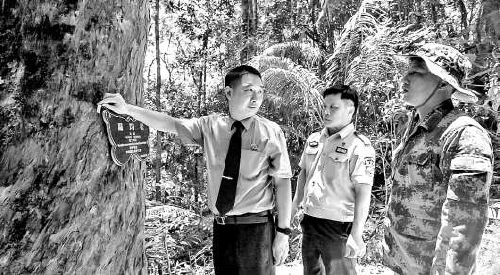 珍稀植物有了“身份证”海南琼中：守护黎母山森林公园获代表肯定