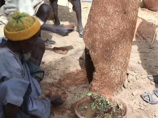 黑人跨入铁器时代的关键！揭秘两千年前的黑人冶铁术，包教不包会