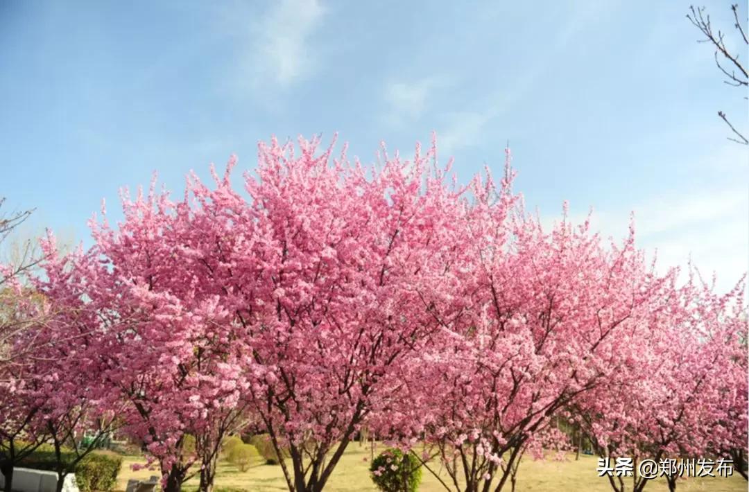 有序开放室内景区,有序开放的公园