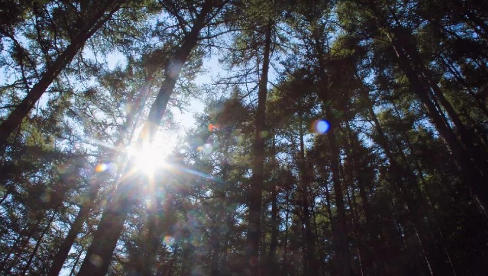 清秋六盘,雅韵唯美,且看宁夏“母亲山”秋色如何养眼怡耳悦心