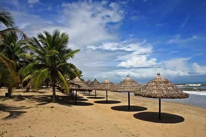 越南大青芒芒果中的巨无霸,越南大青芒泰国酸脆青芒果