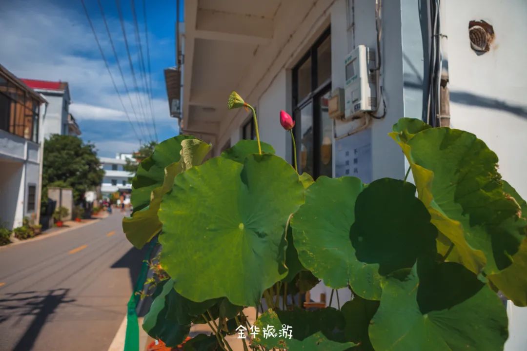 金华玩水的地方网红地,金华周边避暑玩水好去处