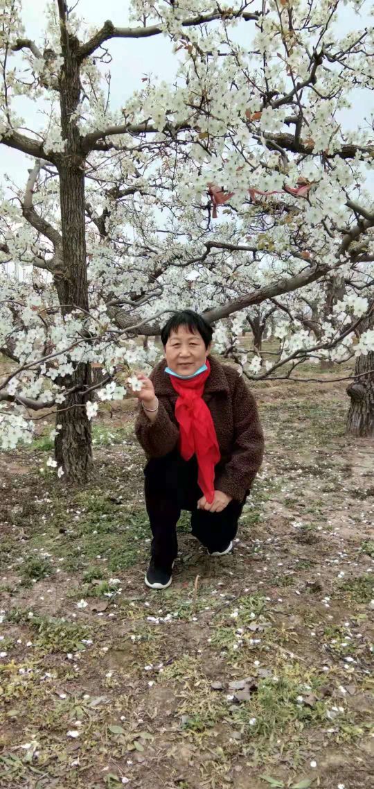 赵县，我最钦佩的大姐