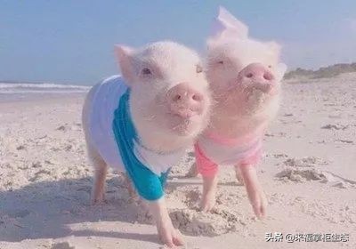 泥娃娃的面膜适合年轻人用吗,泥娃娃面膜适合年轻人使用吗