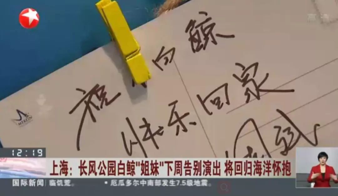 没有买卖就没有伤害的出处,没有买卖就没有伤害动物