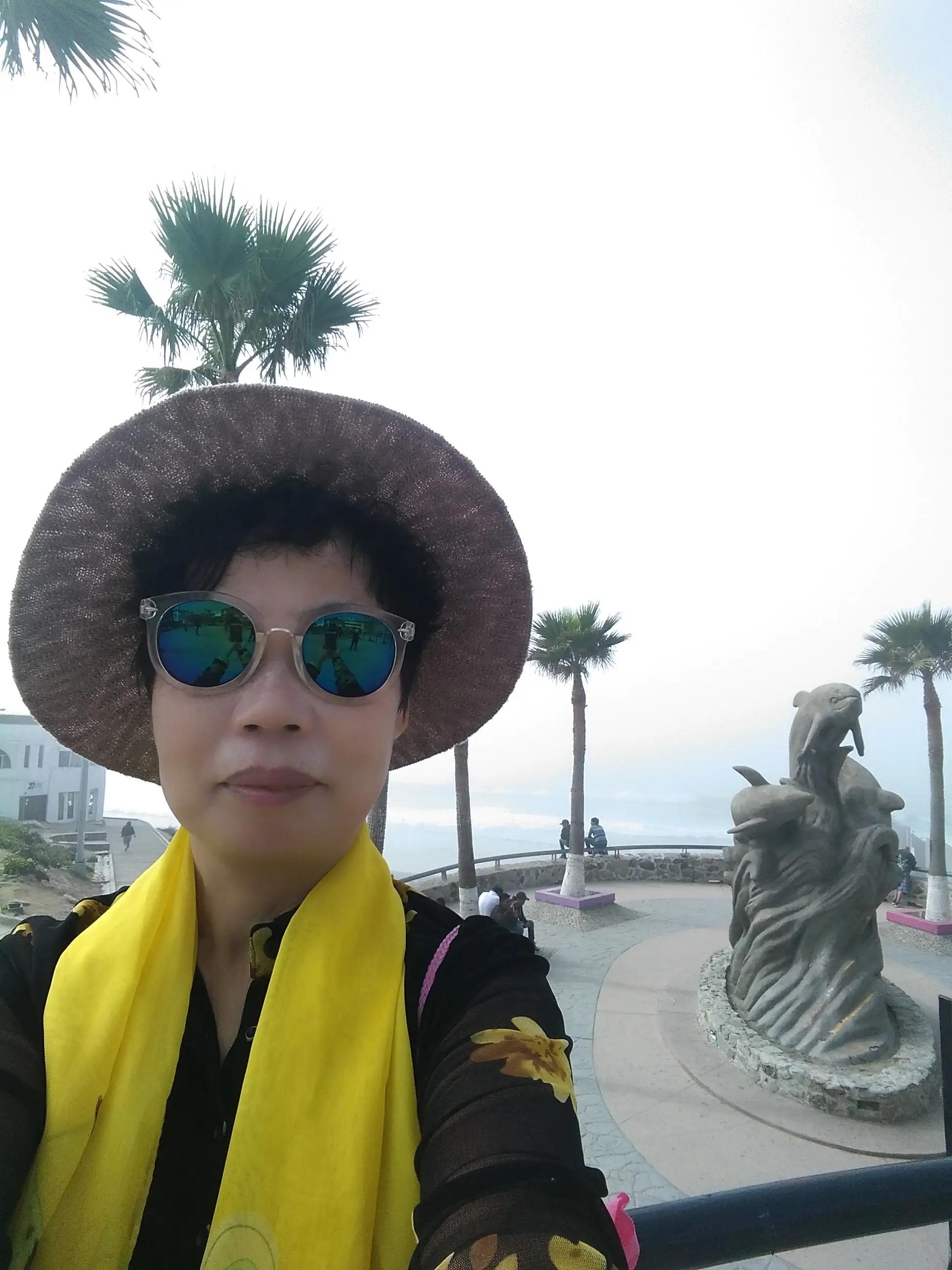 阿莲近期聊天记录,阿莲的聊天记录