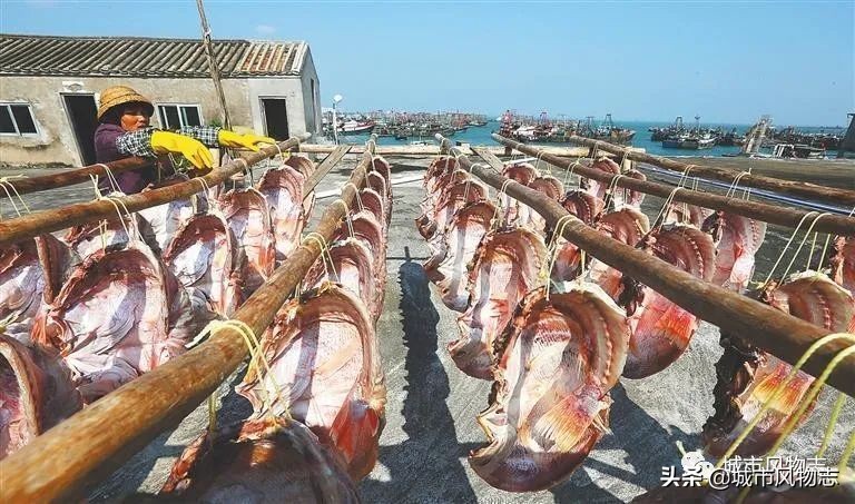 儋州|苏东坡既想“代言”，又想保密的地方