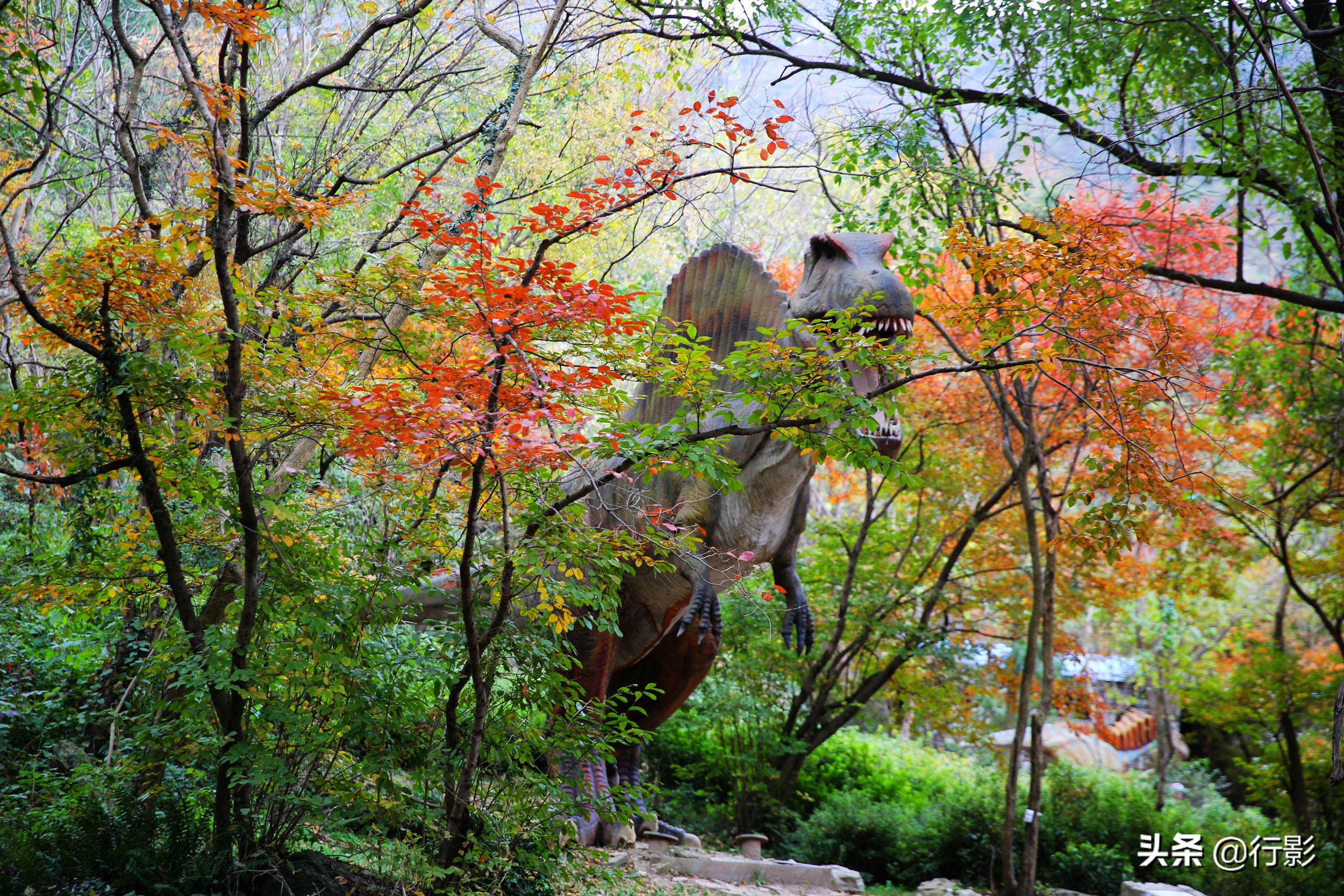 武汉云雾山游玩攻略,安陆云雾山和黄陂云雾山