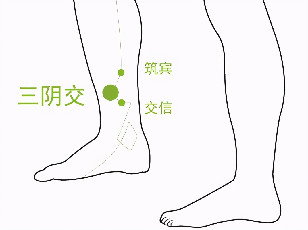 用一招就能瘦全身,瘦腰腹的方法视频健身操