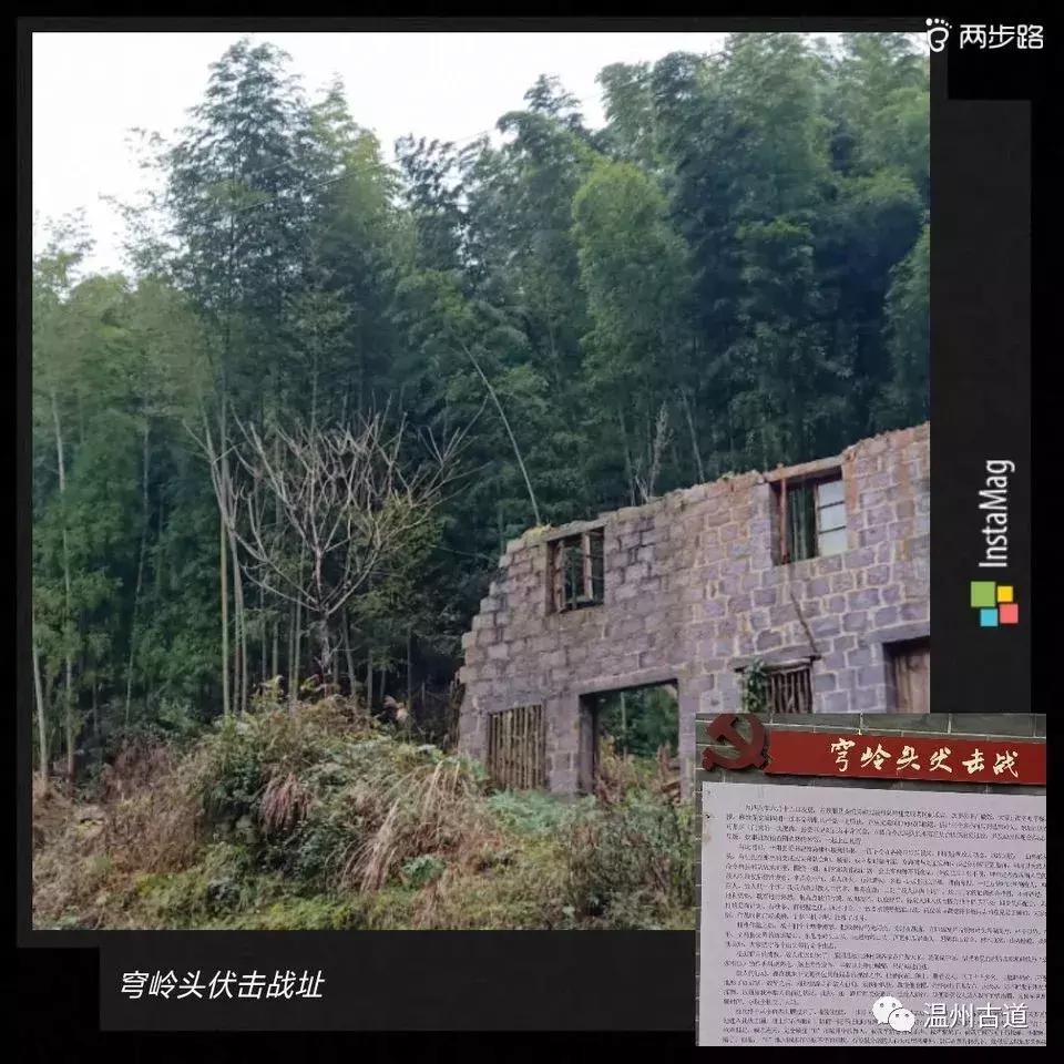 温州茶山红枫古道,浙江温州永嘉红枫古道