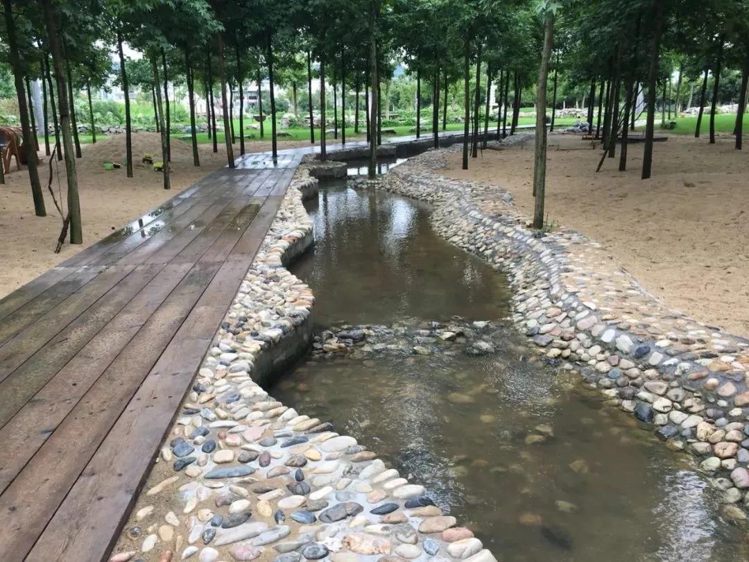 农村新型果园6亩赚钱方式,果园农场怎么赚钱