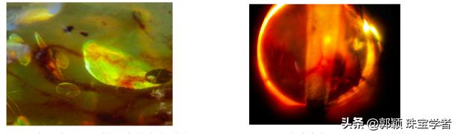 揭穿琥珀整容化妆造假*规则潜**