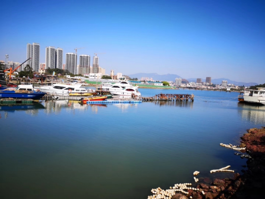 惠州檀悦豪生度假酒店附近赶海,2024年惠州赶海的最佳地方