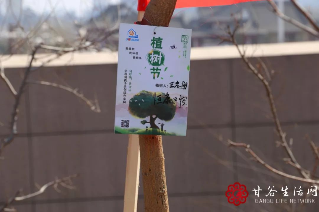 共植成长树，携手创业路——为甘谷这群创业青年打call！