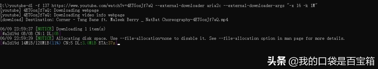 视频下载工具netdownload,视频下载辅助工具
