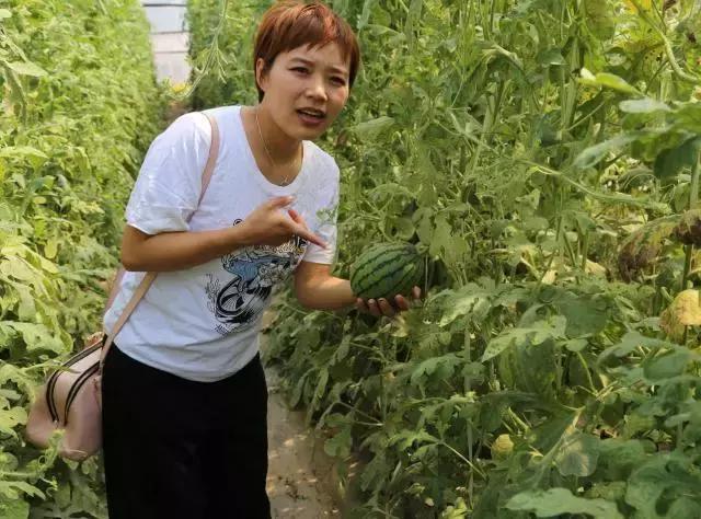 德国平民旅行车,不到20万买旅行车