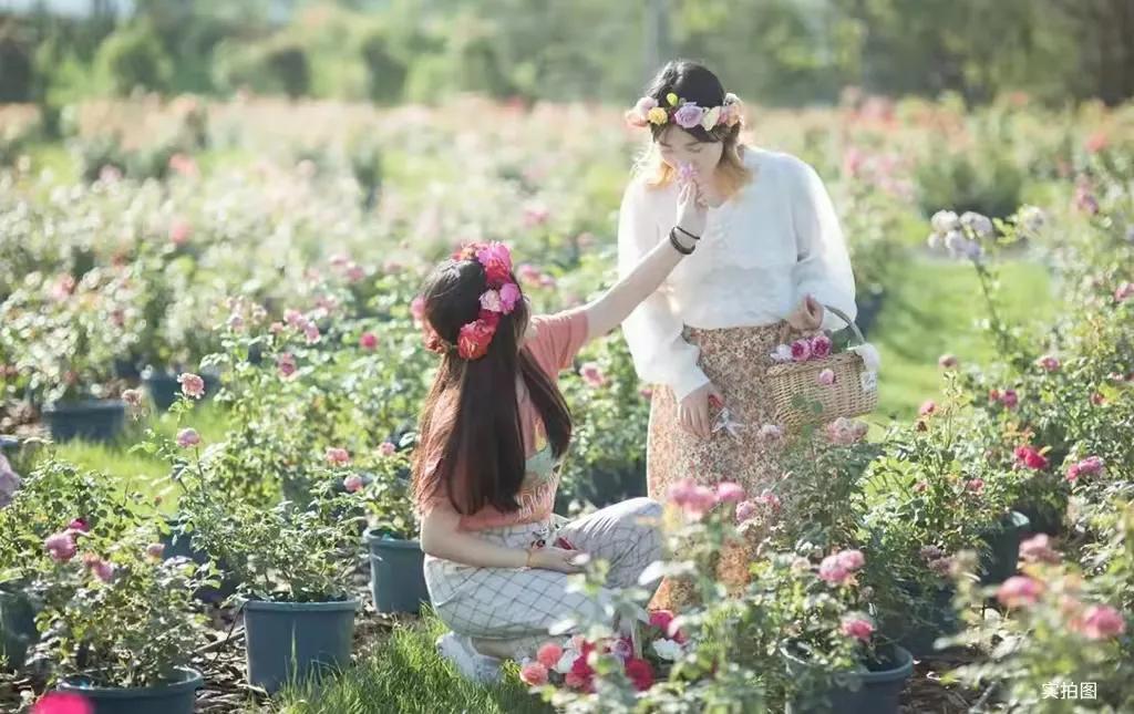 阿朵小镇风光无限,走进阿朵小镇