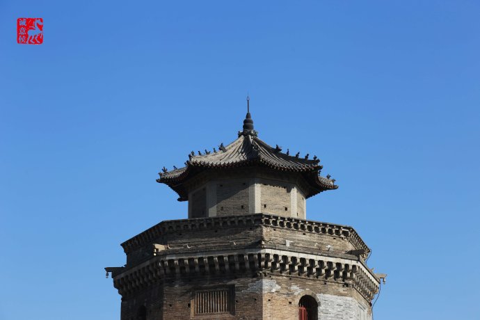 奇怪的古塔燕子----“严冬不南迁，有足不成行”