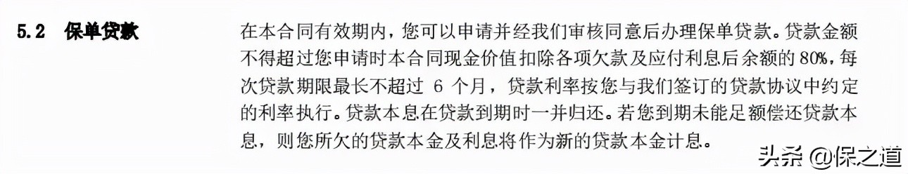 保单在保险公司贷过款还能贷吗,保险保单可以贷多少款