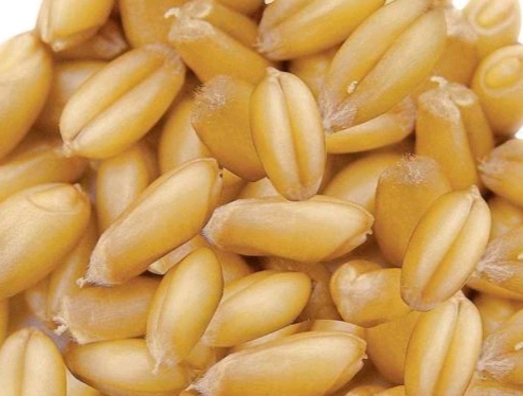 面粉怎么选包饺子选什么面粉,面粉包饺子不破皮添加什么