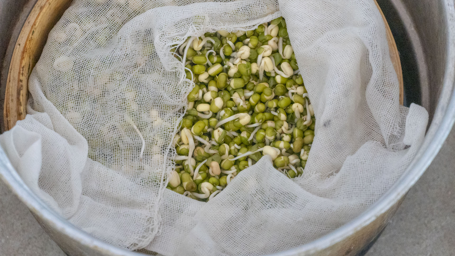 润肺降火的青菜,清肺去火的夏季美食菜谱