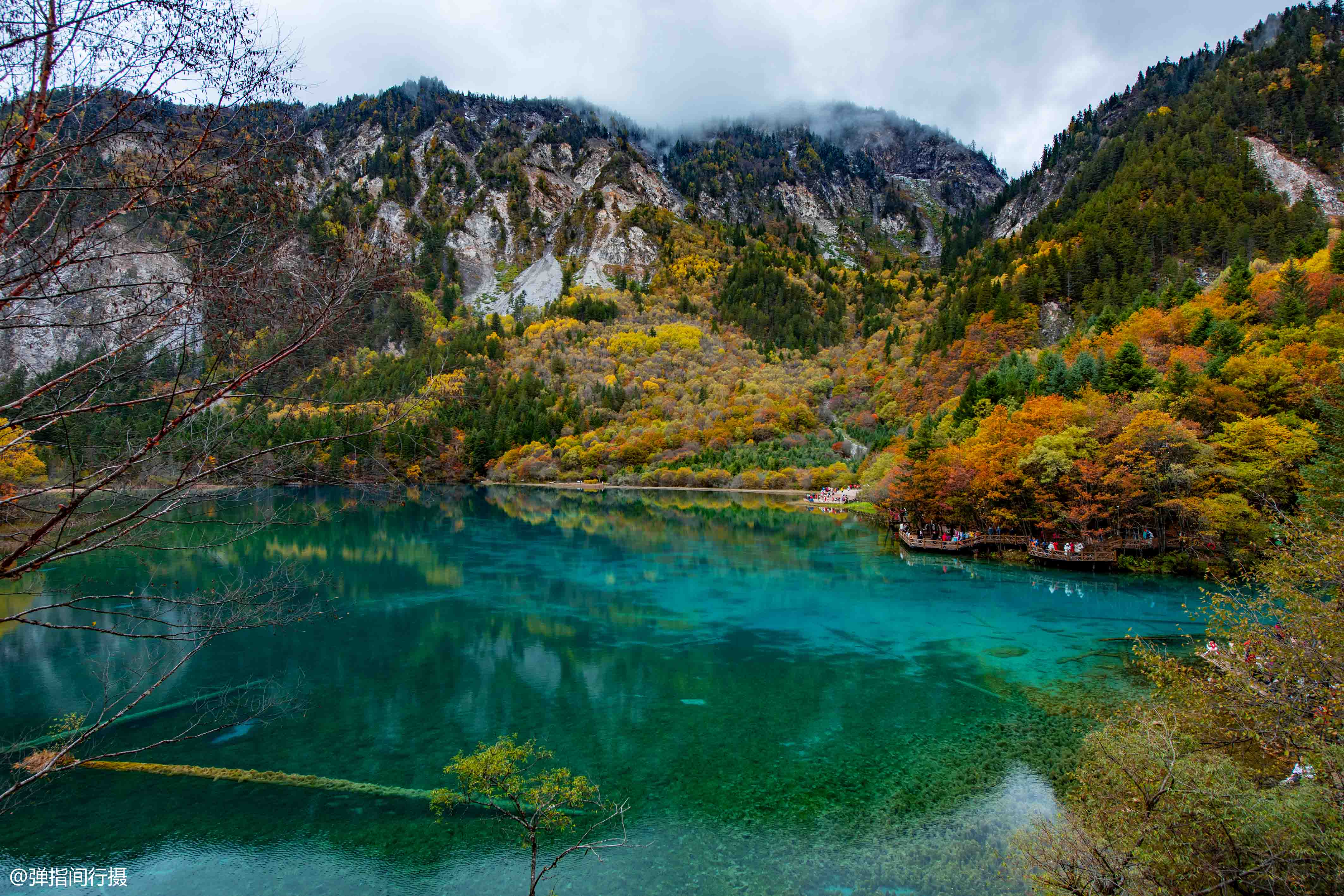 九寨沟最“仙”的景点:秋色宛如彩色梦境,堪称“九寨沟一绝”