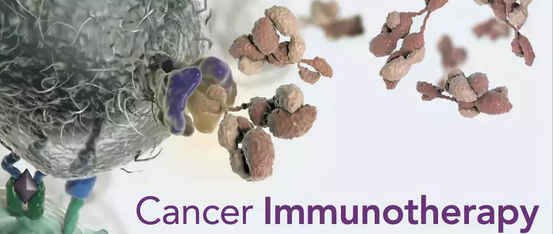 肠道菌群对癌症的影响,肠道菌群与癌症的最新研究