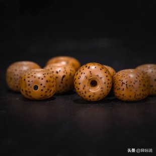 星月菩提十二大禁忌,新手星月菩提适合买多大的