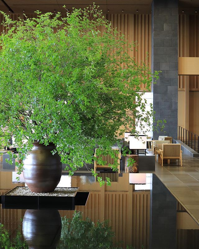 国内最漂亮的安缦,全球最佳安缦