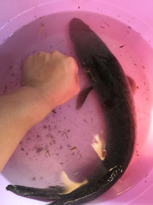 1000鍧楅挶闆峰己瑁呭,楂樼骇闆峰己瑁呭