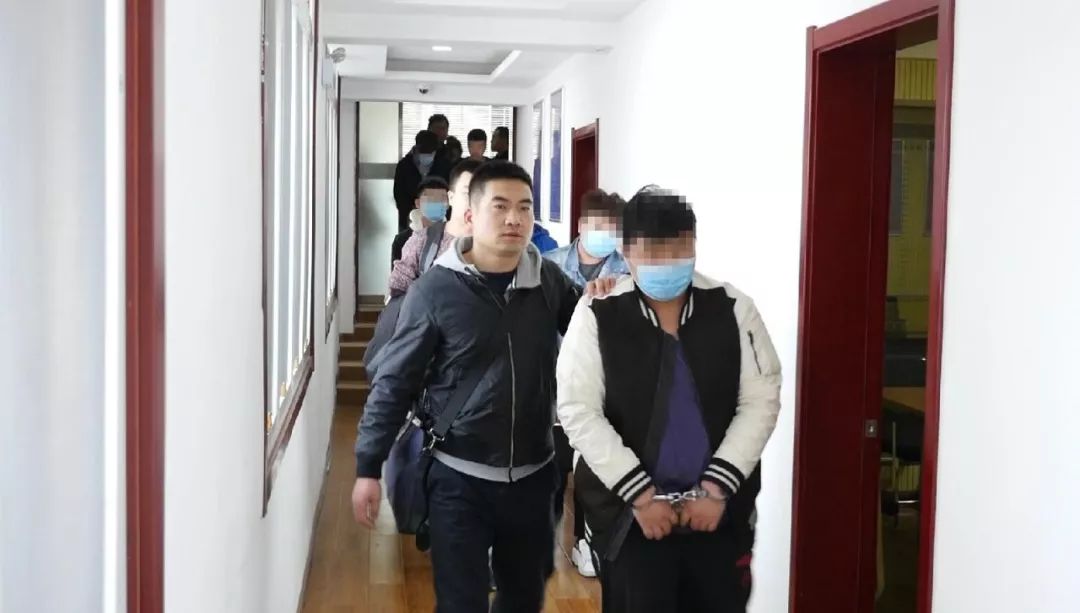 山东青岛最近发生的诈骗案,山东济宁诈骗案判刑案例