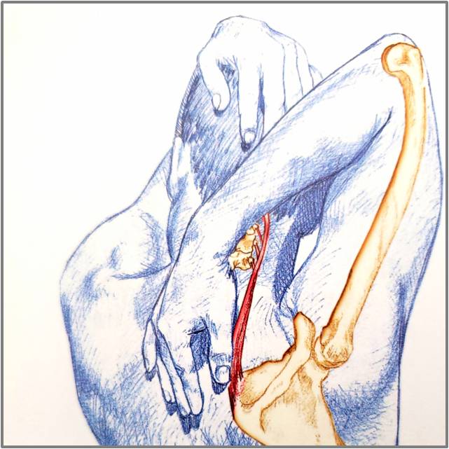 颈部的锻炼方法脖子酸胀,颈部舒缓拉伸动作
