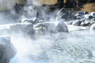 又降温最低2°C！会耍的成都人都去泡温泉了，不到百元畅玩一整天