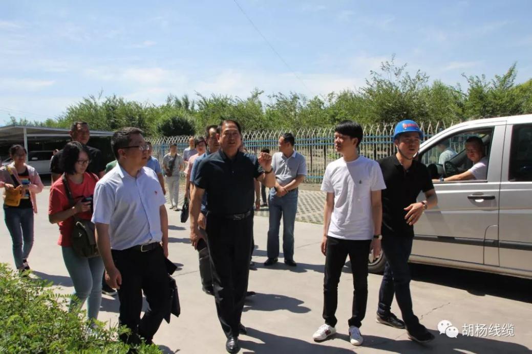 欢迎*疆新**自治区市场监督管理局领导莅临胡杨线缆公司交流学习