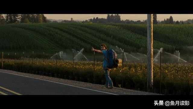 20部必看荒野生存的电影,推荐几部好看的电影荒野生存