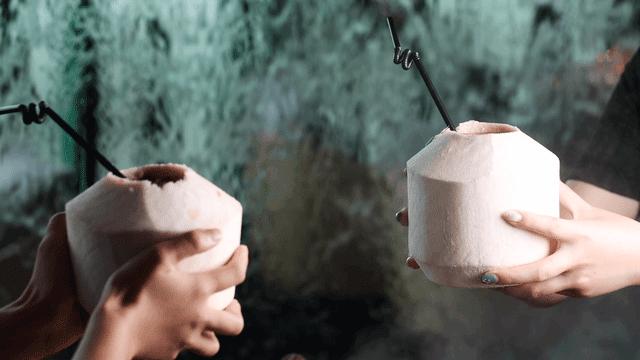 凤园椰珍椰子鸡团购长隆,凤园椰珍椰子鸡抖音团购