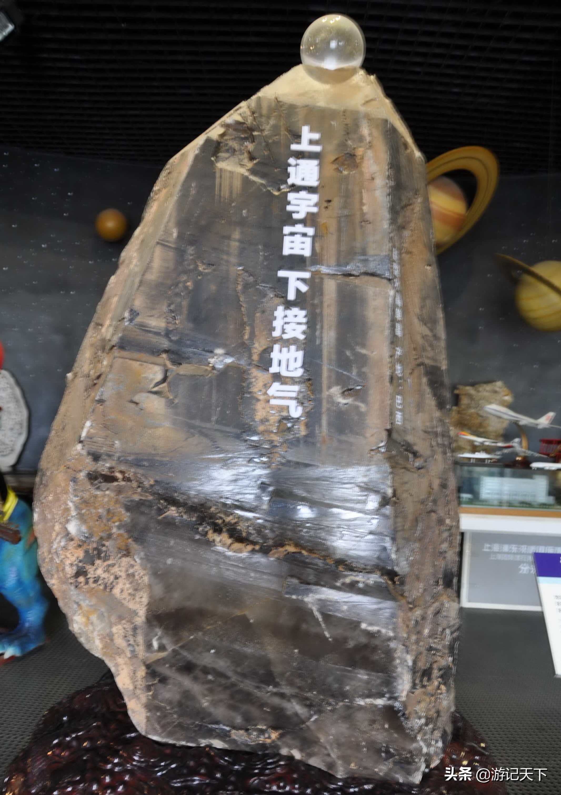 阿尼亚参观博物馆,上海地质科普馆游玩