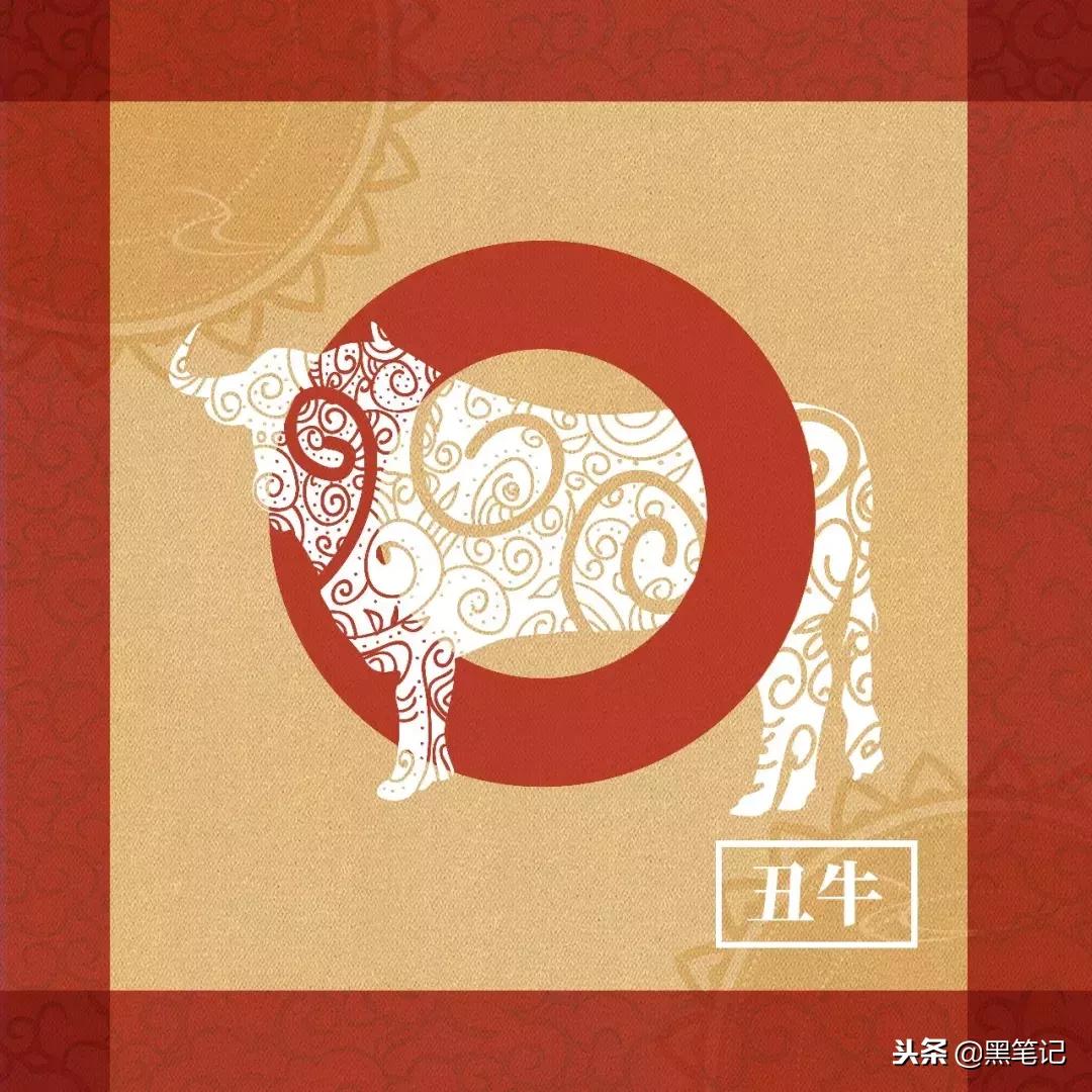 十二生肖2019年运势大全下,十二生肖运势2019年10月23日运程