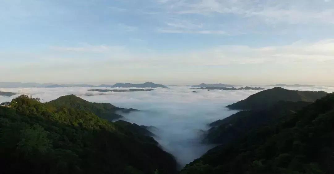 中国五大茶旅胜地,中国十大茶旅城市有哪些