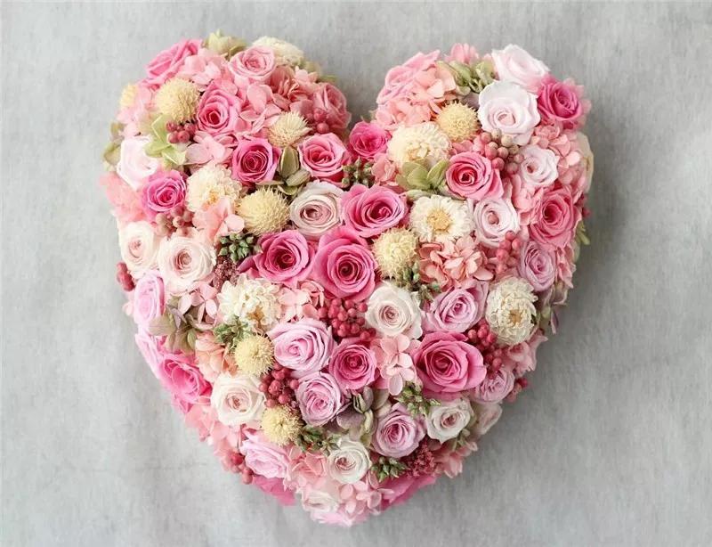 2019真实鲜花图片,2023鲜花爆款图文