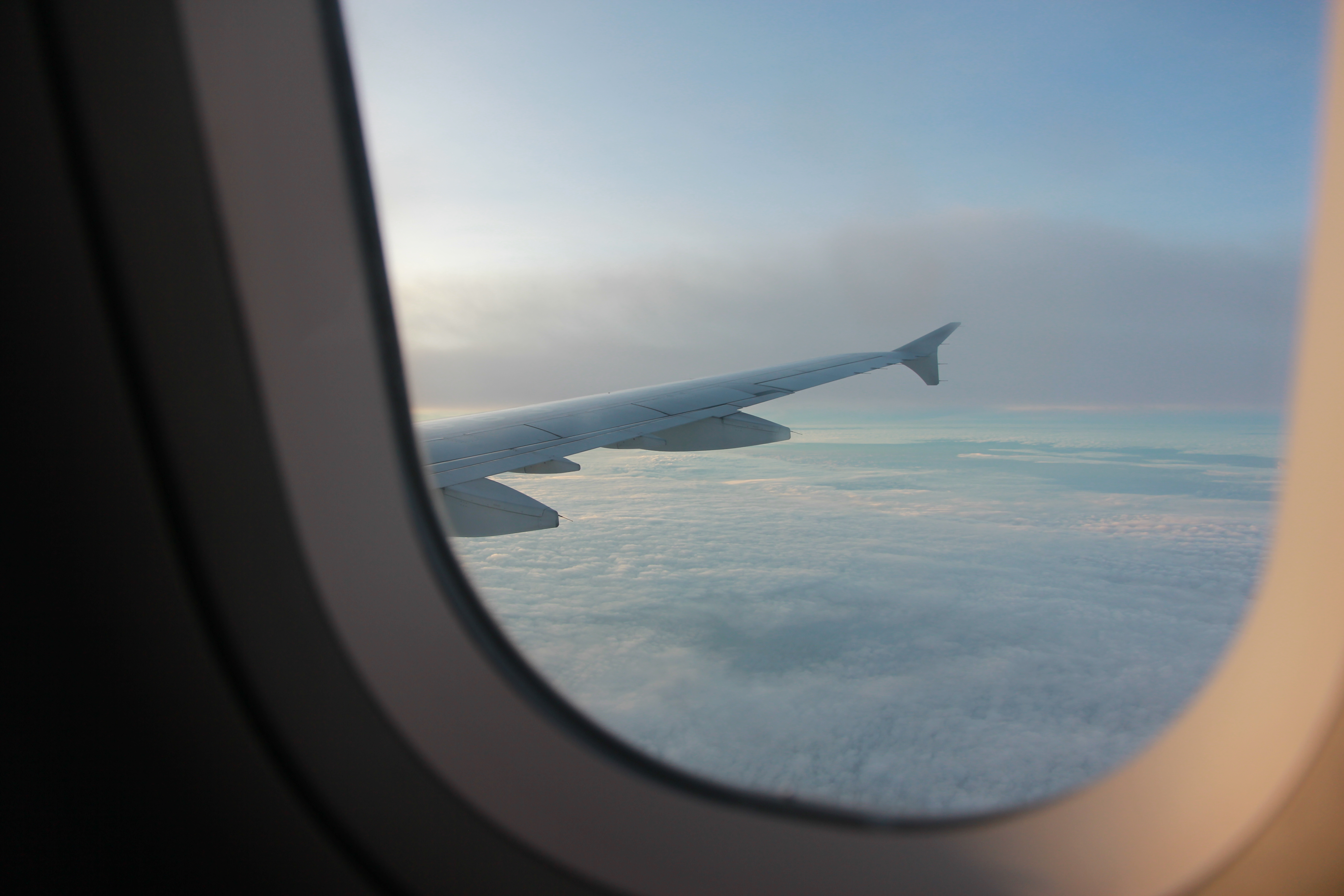 在普吉岛浮潜拍到的美妙海底世界 (普吉岛cape panwa hotel浮潜)