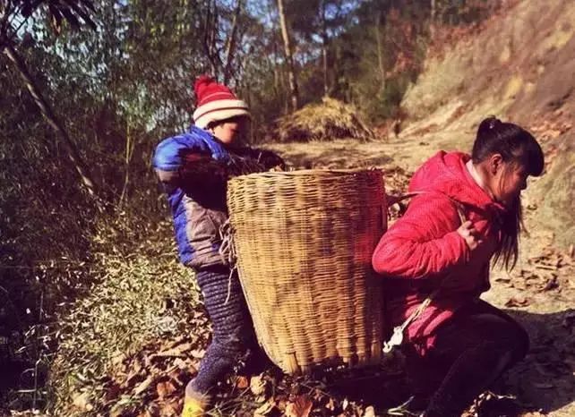 失孤儿子的真实事件,失孤真实故事找到孩子了吗