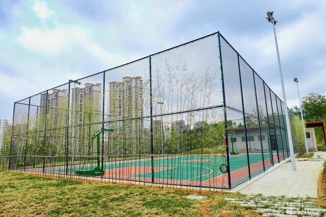 深圳龙华公园推荐,深圳龙华免费公园