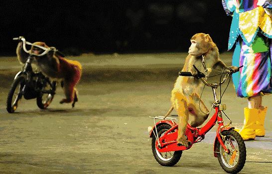 硬币明明在杯子外面,硬币在杯子上旋转