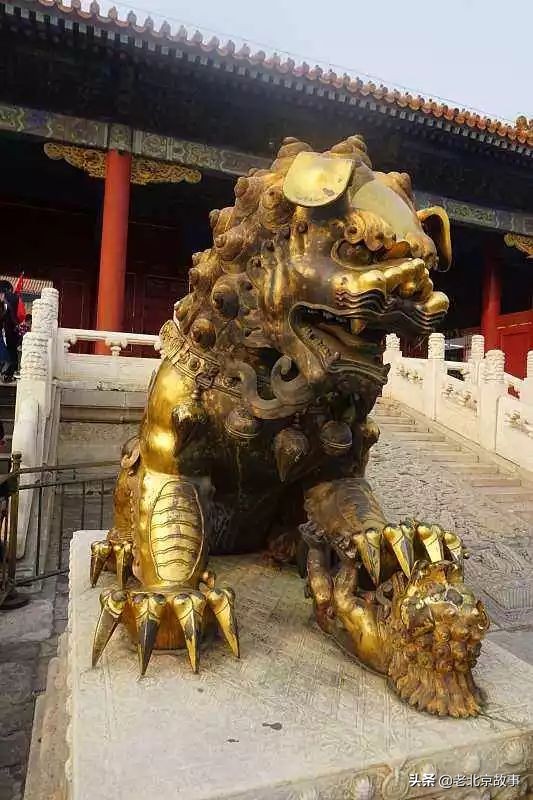 故宫成了动物园,故宫北京动物园