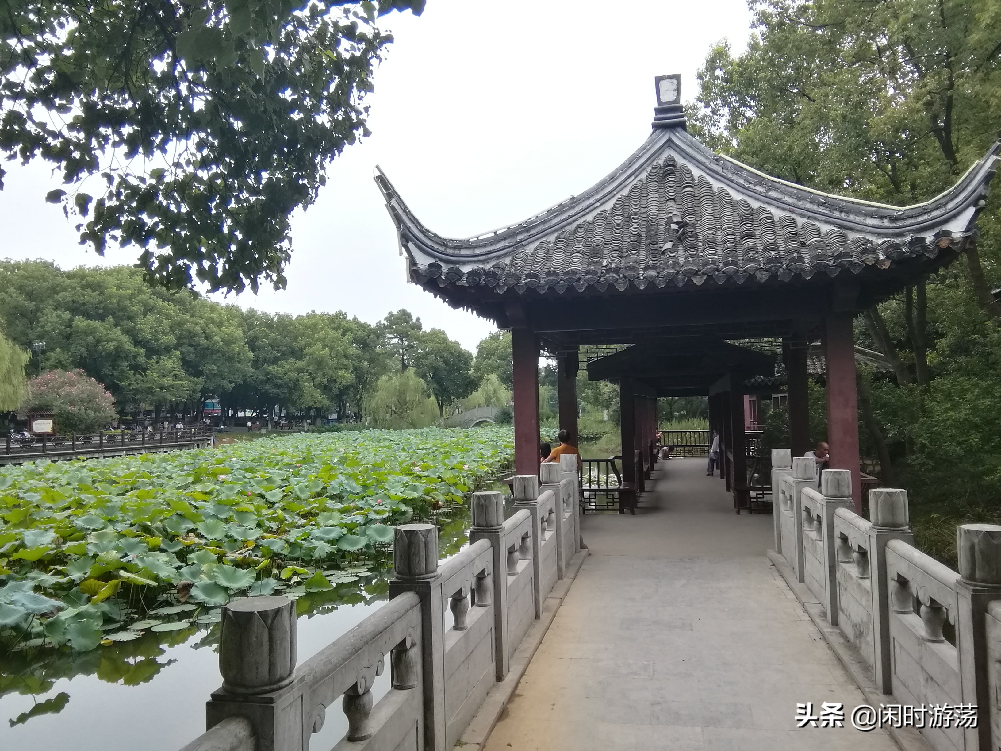 高淳老街杨厅,南京金陵小区到高淳老街怎么坐