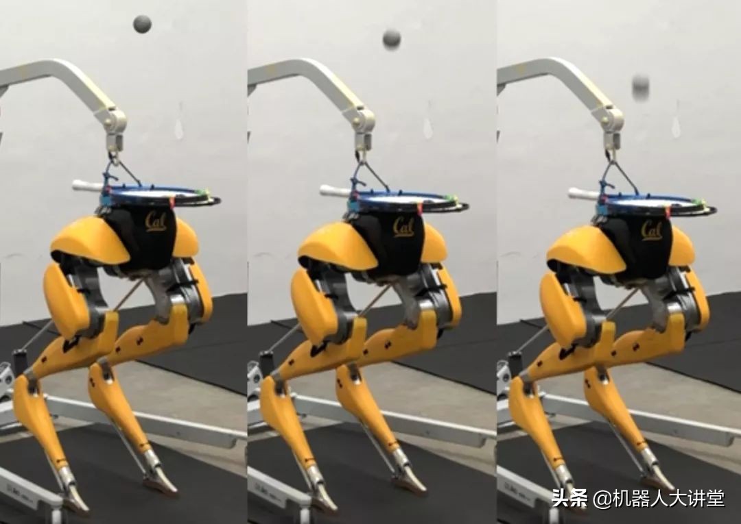 uc伯克利,uc伯克利学习