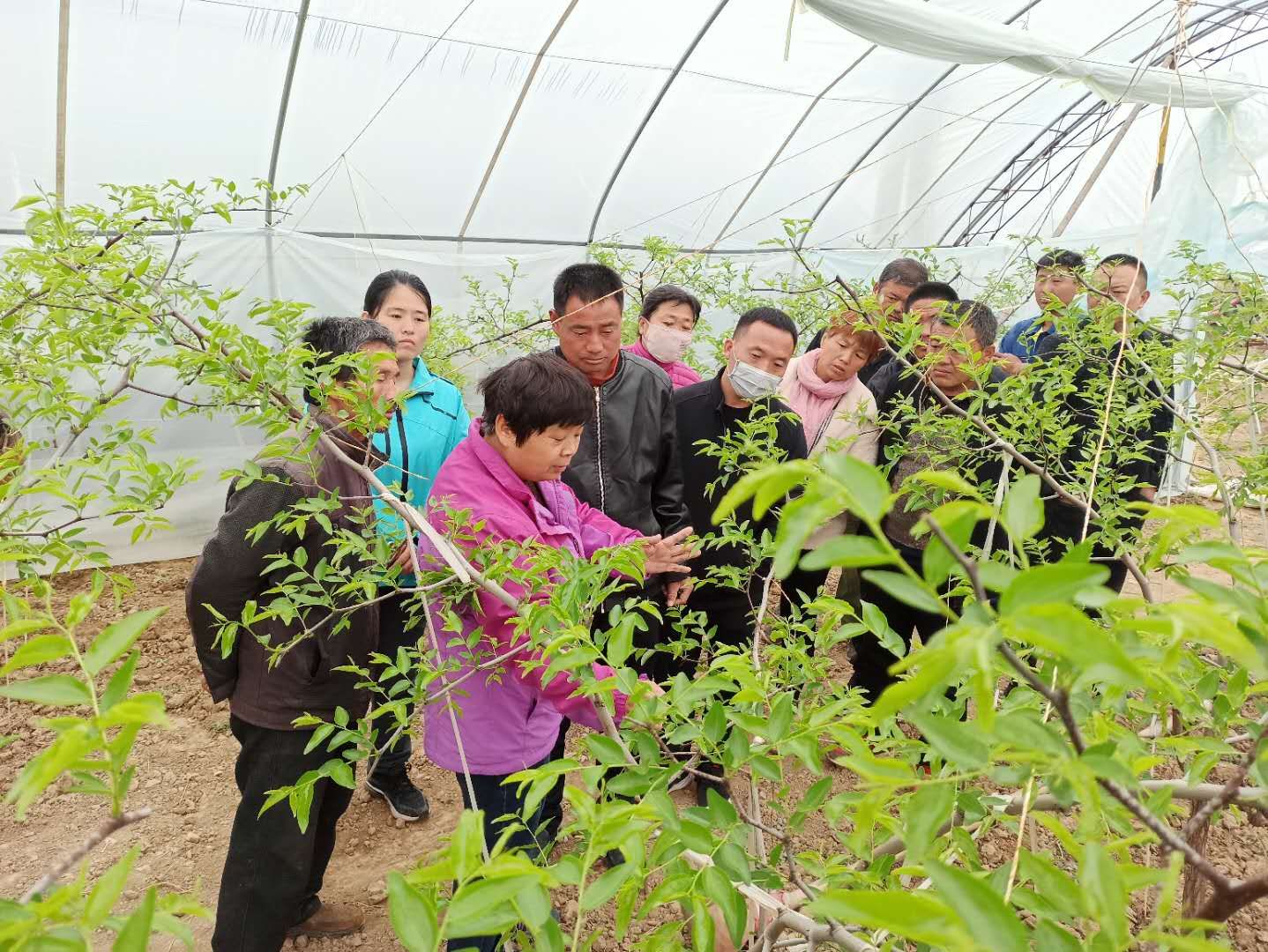 渭南大荔县大风,大荔大风农民自救